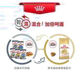Royal Canin 貓糧 法國皇家貓糧 純種系列 無毛貓成貓專屬配方 2kg (2351000) (圖片7)