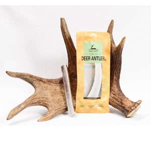 dear deer 狗零食 耐咬潔齒系列 鹿角 大號 (40619) (圖片3)