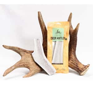 dear deer 狗零食 耐咬潔齒系列 鹿角 加大號 (40626) (圖片3)