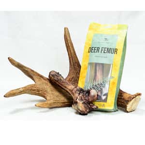 dear deer 狗零食 耐咬潔齒系列 鹿大腿骨 中大型犬用 (40596) (圖片4)