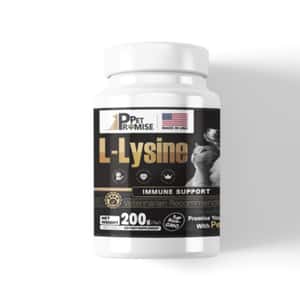營養膏 保充劑 貓咪保健用品 Pet Promise毛孩承諾 L-lysine 寵物專用賴氨酸 200g