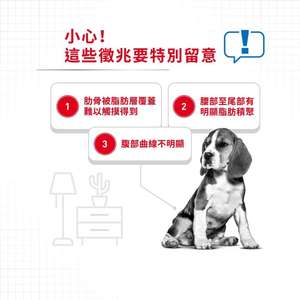 Royal Canin 狗糧 法國皇家狗糧 加護系列 中型犬體重控制加護配方 中型犬 體重控制加護配方 12kg (3053300) (圖片4)