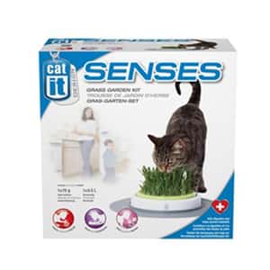 木天蓼 貓草 貓玩具 Hagen希勤 貓玩具 Catit系列 感官草園套裝 (C50755)