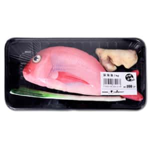 其他 貓玩具 KOJIMA 貓咪趣緻抱枕玩具 薑蔥鯛魚套裝