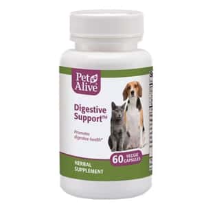 PetAlive PetAlive Digestive Support™ 維持消化系統正常 60粒 (PDIG001)
