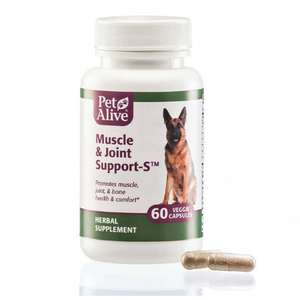 PetAlive 狗狗保健用品推薦：PetAlive Muscle & Joint Support™ 保持肌肉和關節健康 60粒 (PMJT001)