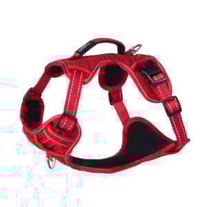 ROGZ 胸背帶 兩扣款 M (SJX11) (圖片3)