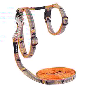 貓頸帶 貓頸圈 ROGZ CATZ 胸帶連拖繩 橙色 (CLJ08-D)
