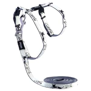 貓頸帶 貓頸圈 ROGZ GLOWCAT 胸帶連拖繩 黑貓 (CLJ09-A)