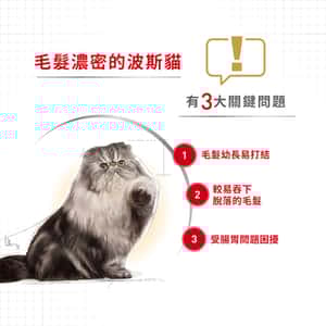Royal Canin 法國皇家 貓濕糧 波斯成貓專屬主食濕糧 (肉塊) 85g (圖片4)