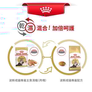 Royal Canin 法國皇家 貓濕糧 波斯成貓專屬主食濕糧 (肉塊) 85g (圖片7)