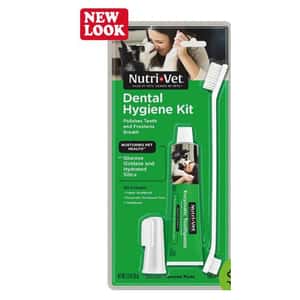 口腔護理 清潔美容用品 Nutrivet 犬用牙刷套裝 (NV87491)