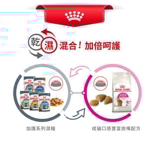 Royal Canin 貓糧 法國皇家貓糧 超級挑咀配方 EXS 2kg (2531020010) (圖片7)