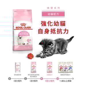 Royal Canin 貓糧 法國皇家貓糧 Kitten 健康營養系列 FHN 幼貓營養配方 K36 10kg (2522100012) (圖片3)