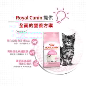 Royal Canin 貓糧 法國皇家貓糧 Kitten 健康營養系列 FHN 幼貓營養配方 K36 10kg (2522100012) (圖片4)