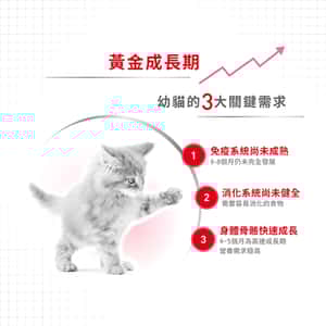 Royal Canin 貓糧 法國皇家貓糧 Kitten 健康營養系列 FHN 幼貓營養配方 K36 2kg (2522020012) (圖片8)