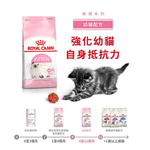 Royal Canin 貓糧 法國皇家貓糧 Kitten 健康營養系列 FHN 幼貓營養配方 K36 2kg (2522020012) (圖片4)