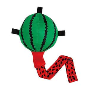 Petio 狗玩具 Petio 互動伸縮拉扯 可藏食狗玩具 西瓜 (91603037)