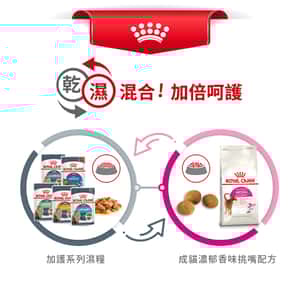 Royal Canin 貓糧 法國皇家貓糧 成貓濃郁香味挑嘴配方 EXA 2kg (2300500) (圖片7)
