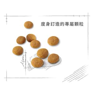 Royal Canin 貓糧 法國皇家貓糧 成貓濃郁香味挑嘴配方 EXA 4kg (2300700) (圖片6)
