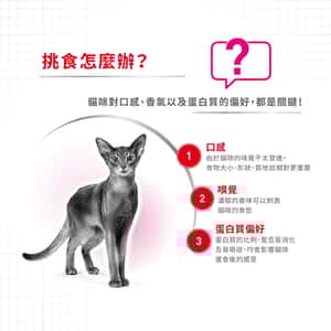 Royal Canin 貓糧 法國皇家貓糧 超級營養配方 EXP 4kg (2301700) (圖片4)