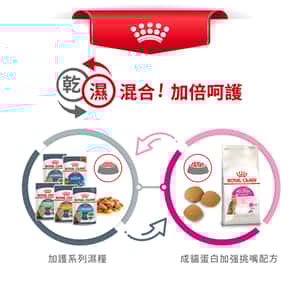 Royal Canin 貓糧 法國皇家貓糧 超級營養配方 EXP 2kg (2301500) (圖片7)