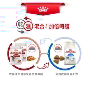 Royal Canin 貓糧 法國皇家貓糧健康營養系列 室內成貓營養配方 IN27 10kg (2529100011) (圖片7)