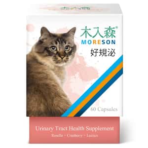 腎臟保健 防尿石 貓咪保健用品 木入森MORESON 貓咪保健品 好規泌 60粒 (MRSC031)