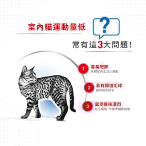 Royal Canin 貓糧 法國皇家貓糧 健康營養系列 室內成貓營養配方 IN27 4kg (2529040011) (圖片4)