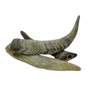 Merrimore 山羊角 3塊 (CL-GH3) (圖片4)