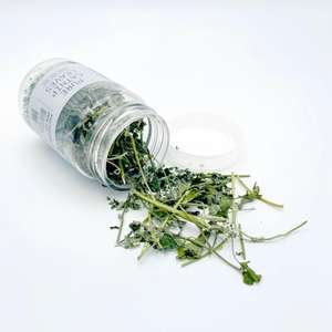 木天蓼 貓草 貓玩具 Mad Farmers 梅德農夫 貓薄荷原葉 10g (MDF0646)