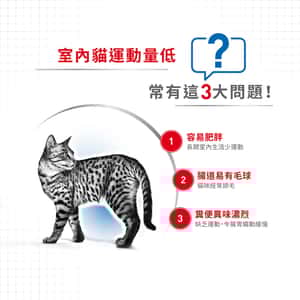 Royal Canin 貓糧 法國皇家貓糧 健康營養系列 室內成貓食量控制營養配方 INAC29 4kg (2297500) (圖片4)