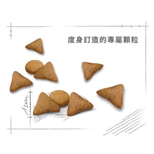 Royal Canin 貓糧 法國皇家貓糧 健康營養系列 室內成貓食量控制營養配方 INAC29 4kg (2297500) (圖片6)