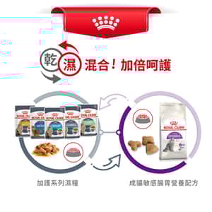 Royal Canin 貓糧 法國皇家貓糧 腸胃敏感配方 S33 4kg (2521040011) (圖片7)