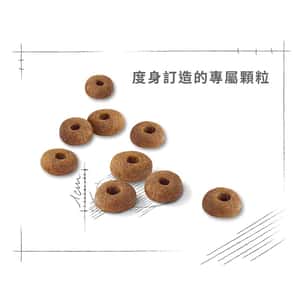 Royal Canin 貓糧 法國皇家貓糧 成貓全效健康營養配方 FIT32 10kg (2520100011) (圖片6)