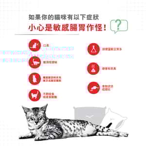 Royal Canin 貓糧 法國皇家貓糧 加護系列 成貓消化道加護配方 DGC38 2kg (3133400) (新舊包裝隨機出貨) (圖片4)