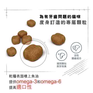 Royal Canin 貓糧 法國皇家貓糧 去牙石成貓高效潔齒加護配方 OS30 8kg (2532080011) (圖片6)