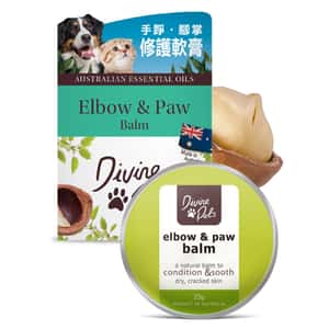 其他 清潔美容用品 Divine Pets 手踭&腳掌修護軟膏 25g (DP_25_B)