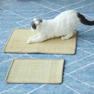 HelloDOG 玩具嚴選 傢具保護好幫手 劍麻地毯貓抓板 40x30cm (圖片3)