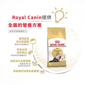 Royal Canin 貓糧 法國皇家貓糧 純種系列 波斯成貓專屬配方 PS30 4kg (2552040011) (圖片5)