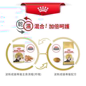 Royal Canin 貓糧 法國皇家貓糧 純種系列 波斯成貓專屬配方 PS30 4kg (2552040011) (圖片6)