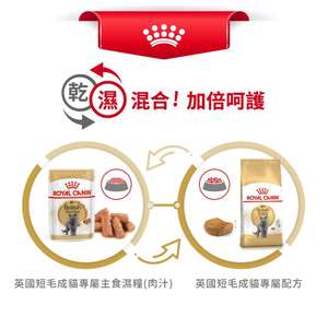 Royal Canin 貓糧 法國皇家貓糧 純種系列 英國短毛成貓專屬配方 BSH 4kg (2557040010) (圖片7)