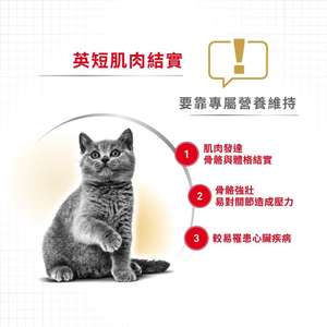 Royal Canin 貓糧 法國皇家貓糧 純種系列 英國短毛成貓專屬配方 BSH 2kg (2557020010) (圖片4)