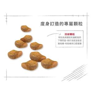 Royal Canin 貓糧 法國皇家貓糧 純種系列 英國短毛成貓專屬配方 BSH 2kg (2557020010) (圖片6)