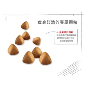 Royal Canin 貓糧 法國皇家貓糧 純種系列 布偶成貓專屬配方 RD 10kg (2515100010) (圖片5)