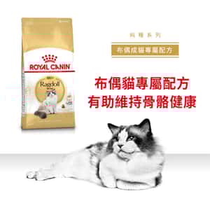 Royal Canin 貓糧 法國皇家貓糧 純種系列 布偶成貓專屬配方 RD 10kg (2515100010) (圖片6)
