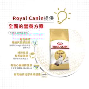 Royal Canin 貓糧 法國皇家貓糧 純種系列 布偶成貓專屬配方 RD 2kg (2515020010) (圖片4)