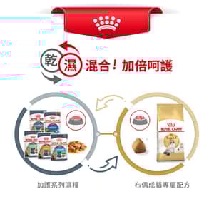 Royal Canin 貓糧 法國皇家貓糧 純種系列 布偶成貓專屬配方 RD 2kg (2515020010) (圖片7)