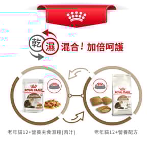 Royal Canin 貓糧 法國皇家貓糧 老年貓配方 12+ AG30 4kg (2270800) (圖片7)