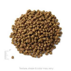 Solid Gold 素力高 貓糧 無穀物室內配方 三文魚味 6lb (SG256A) (圖片4)